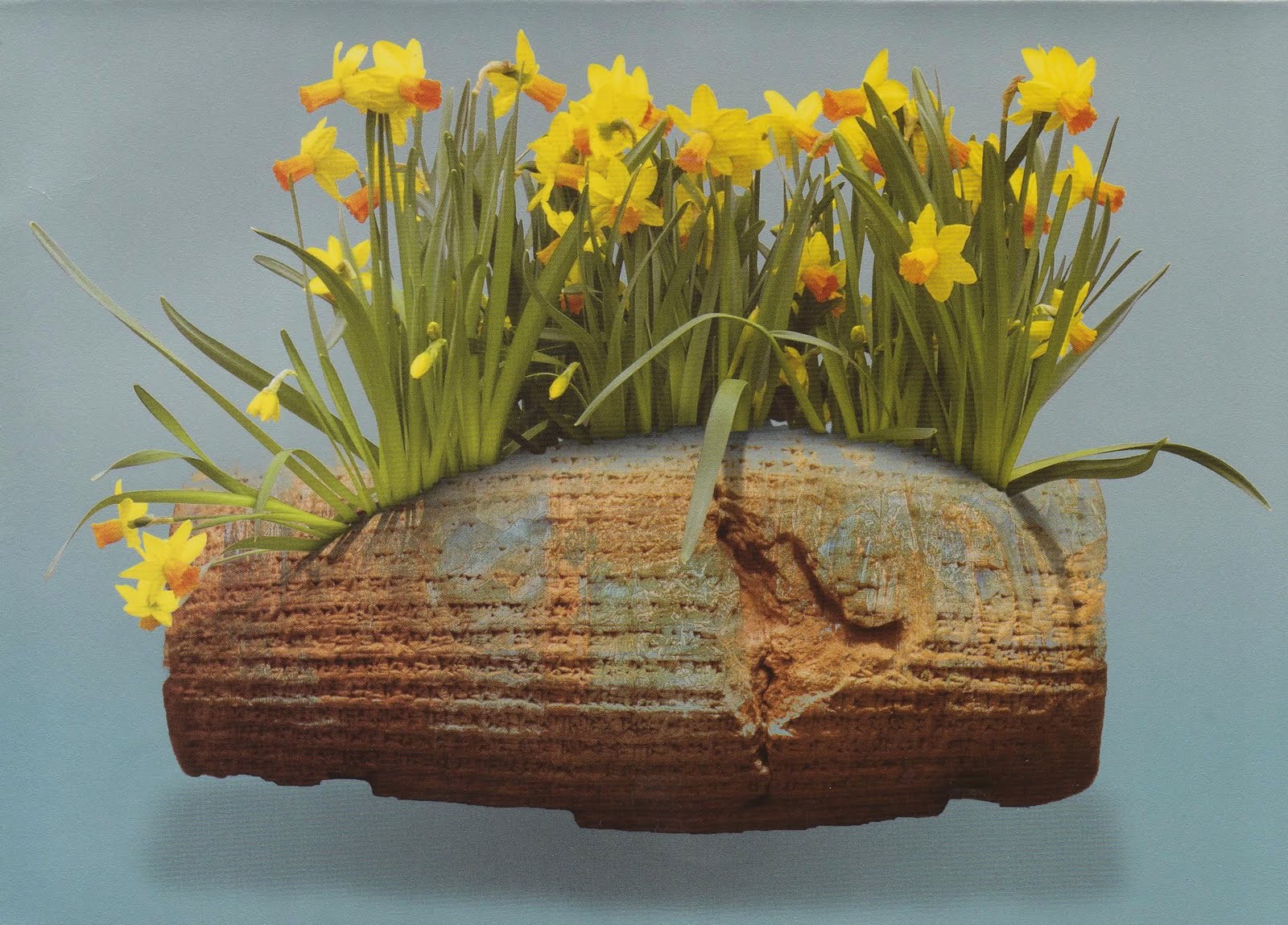 [norooz+89+m+zandian.jpg]