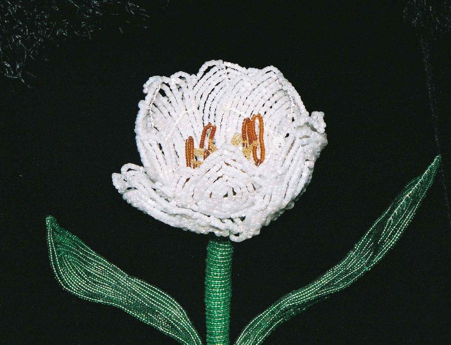 [781848-R1-14-19_015.jpg]