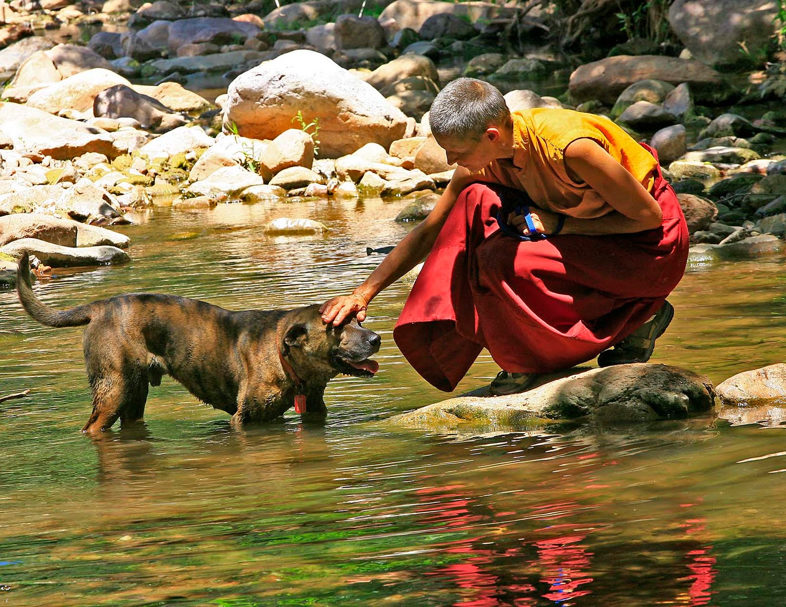 buddhist single women in many farms In many ways, the arizona buddhist temple is an extension of california’s jôdo shinshû history because many arizona japanese americans came to arizona through california yet, the arizona temple has a unique story to tell and has a sangha, a buddhist community, eager to share. buddhist single women in many farms In many ways, the arizona buddhist temple is an extension of california’s jôdo shinshû history because many arizona japanese americans came to arizona through california yet, the arizona temple has a unique story to tell and has a sangha, a buddhist community, eager to share.
