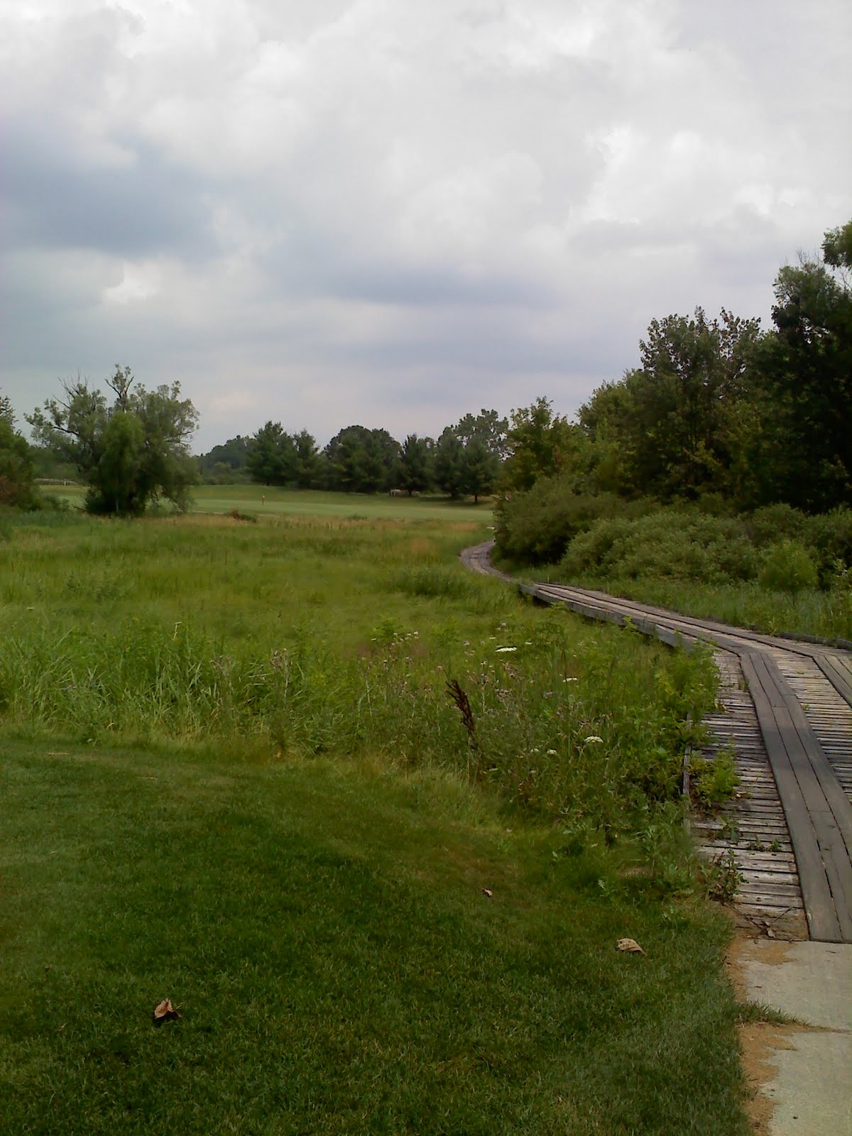Women who Golf Links at Whitmore Lake