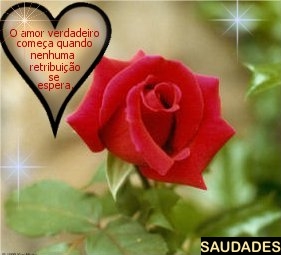 [AMORVERDADEIRO.jpg]