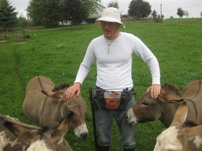 petting donkeys in jackson michigan, buy a donkey, 200 dollars