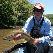 19" Brown Trout