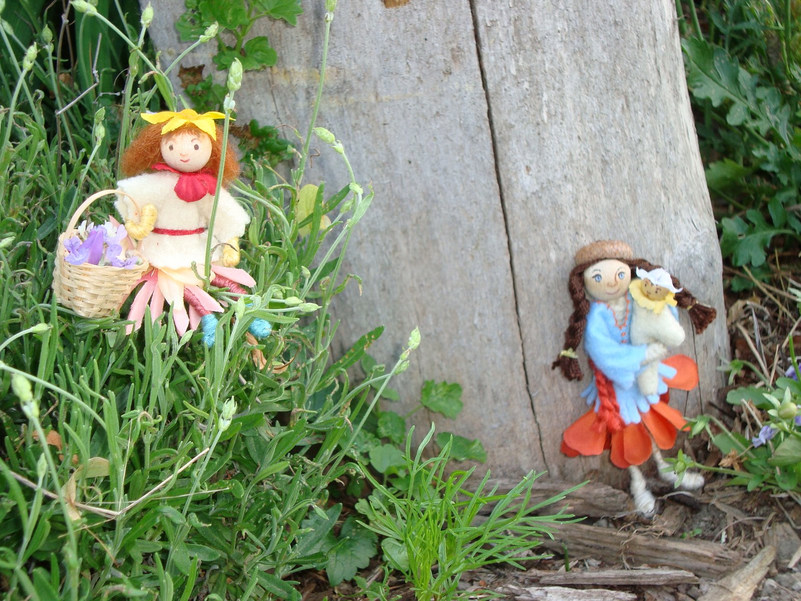 [DSC01864.JPG]