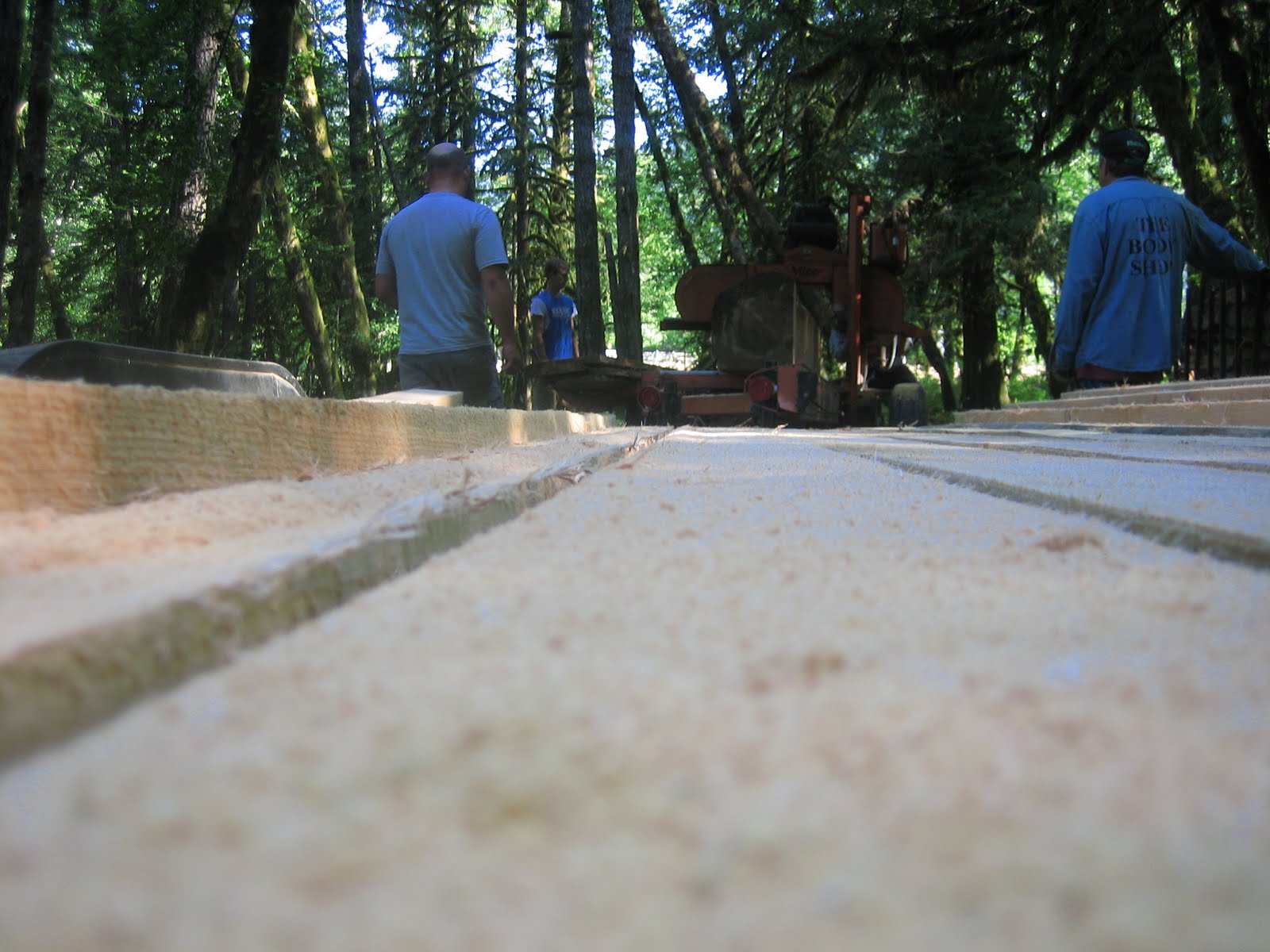 [LLF-+milling+wood,+barn+shots+8&9-09+012.jpg]