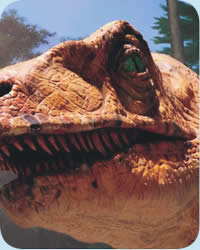 [Creation+Museum.jpg]