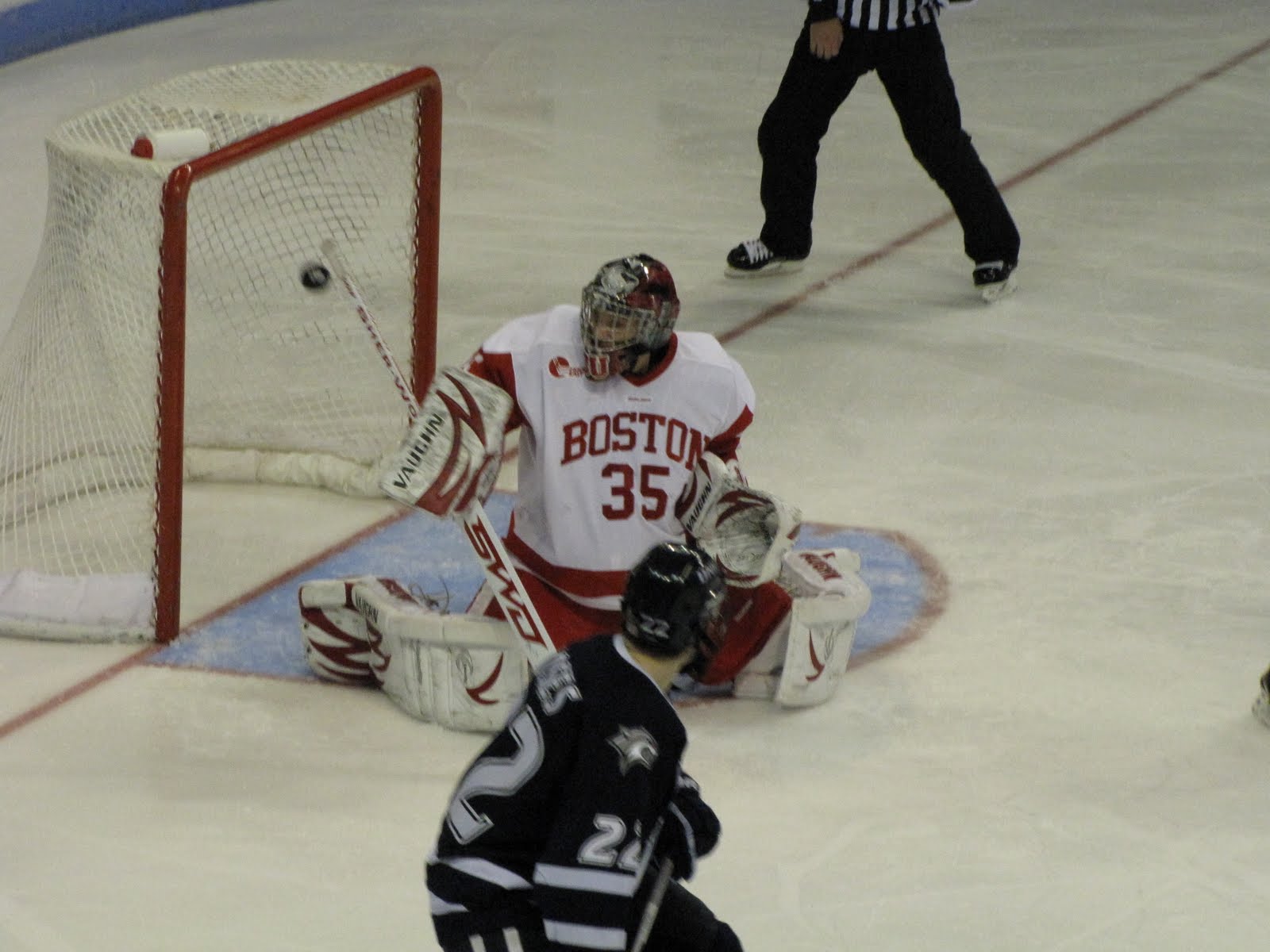 season in the Terrier net