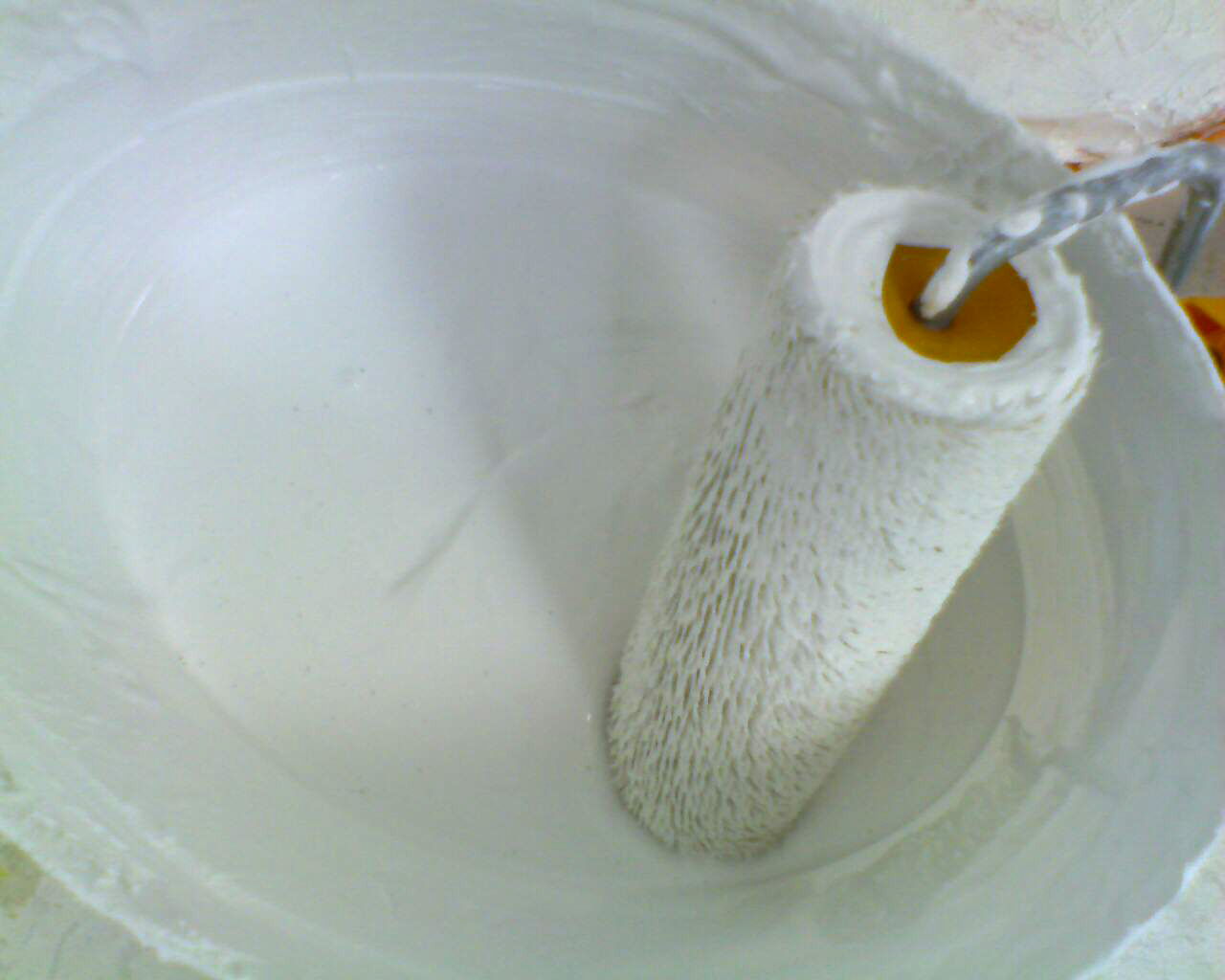 [DSC-0204.jpg]