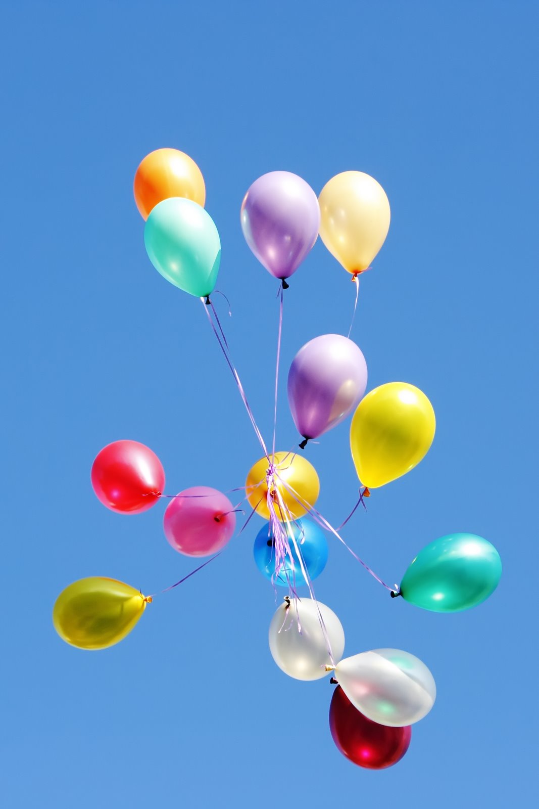 [balloons.jpg]