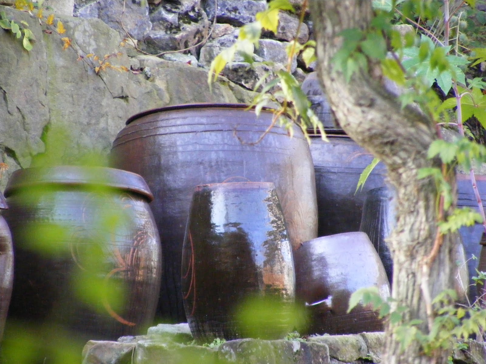 [kimchi+pots.JPG]