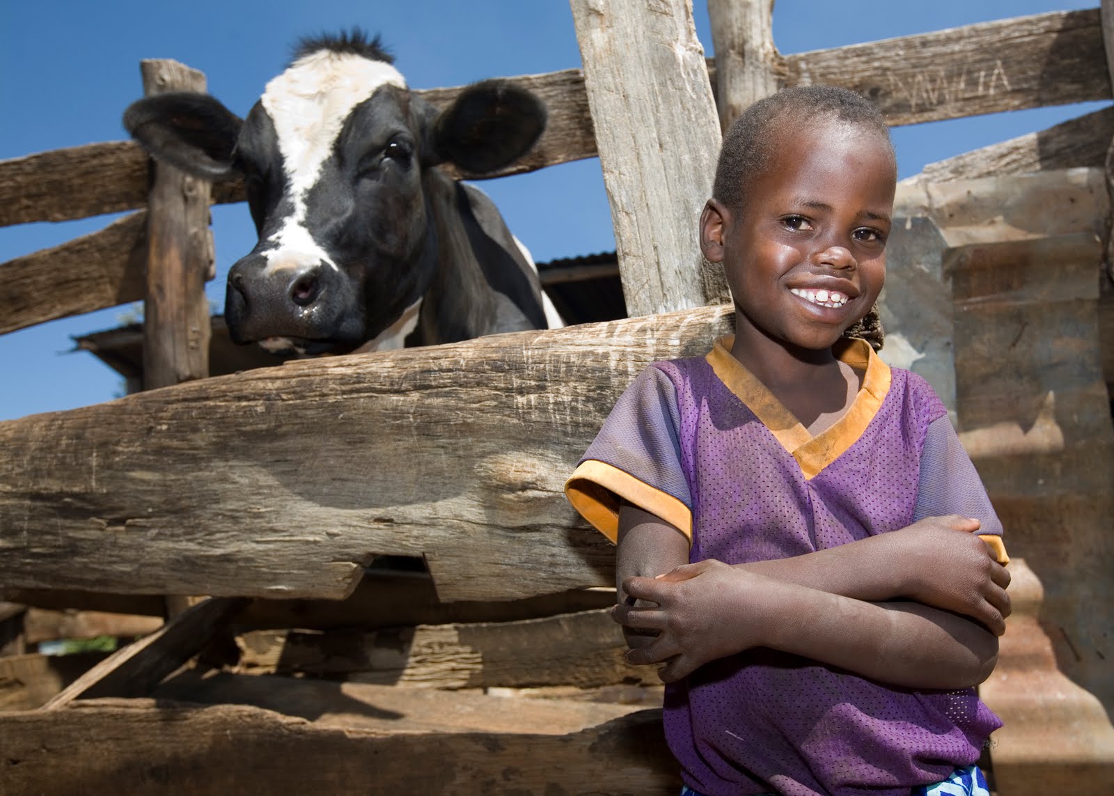 heiffer project The latest tweets from heifer international (@heifer) heifer empowers millions to go from poverty to self reliance via gifts of livestock, seeds, trees & training. heiffer project The latest tweets from heifer international (@heifer) heifer empowers millions to go from poverty to self reliance via gifts of livestock, seeds, trees & training.