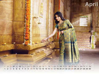 New Year 2011 Calendar, Hot Trisha Desktop Wallpapers