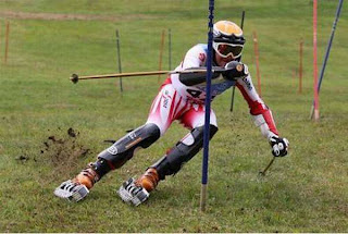 Amazing Photos: Amazing Grass Skiing