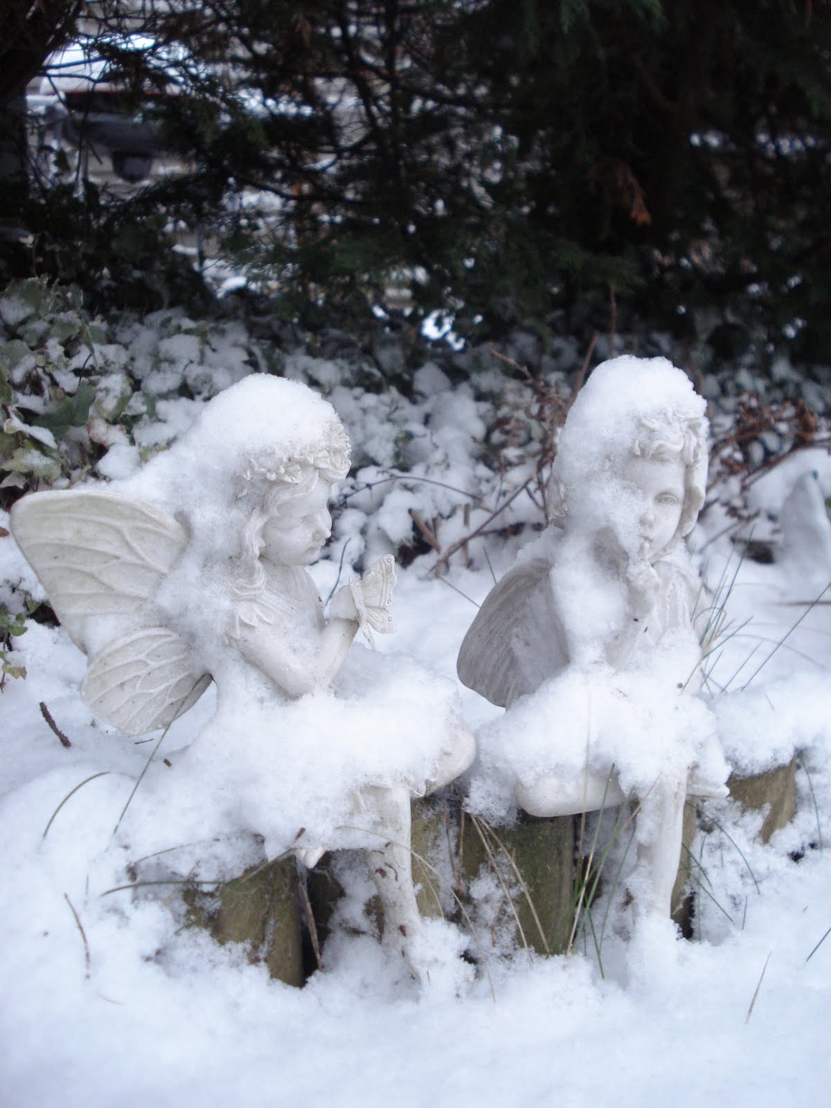 [snow+010.jpg]
