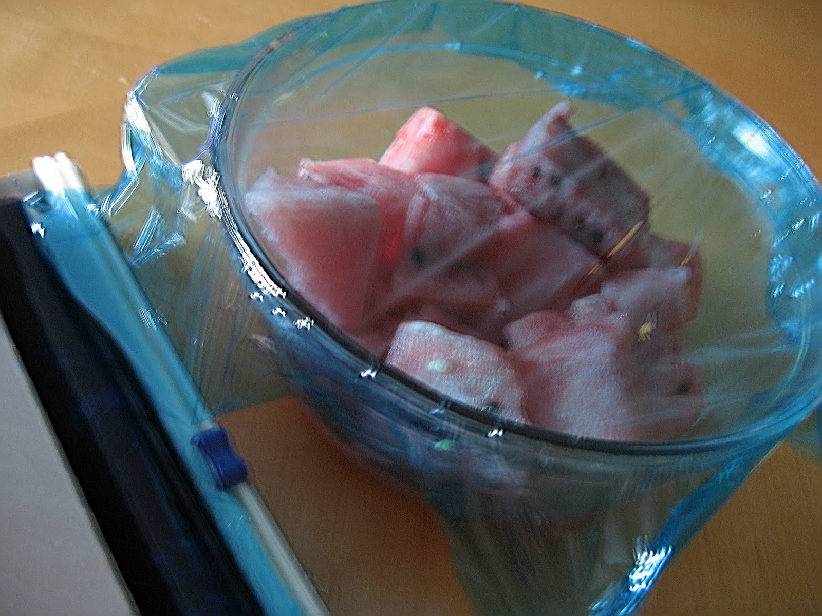 [2009_0831_185841-IMG_1131.JPG]