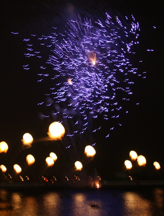 [fireworks7.jpg]
