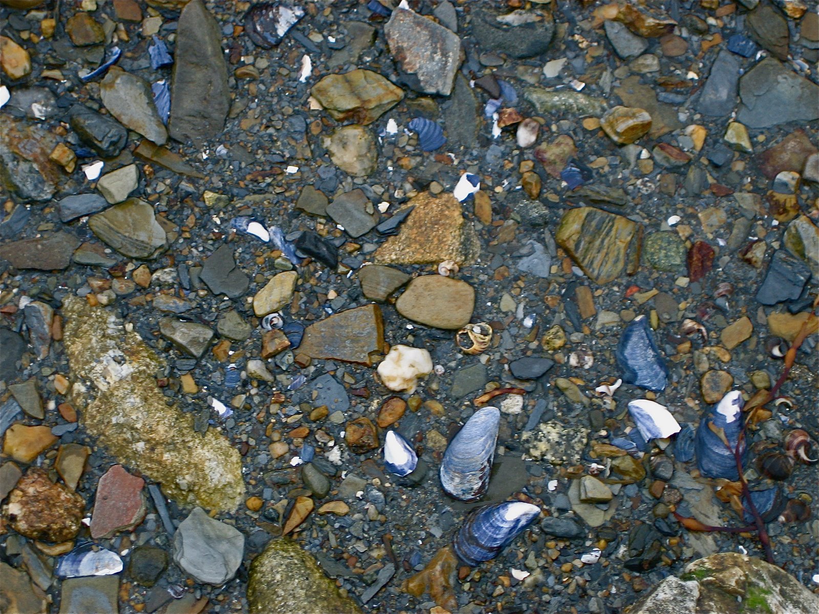 [IMG_0425.JPG]