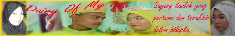 Diary Of my Life
