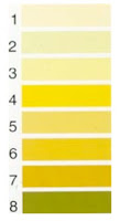 Identificação do nível de hidratação pela cor da urina