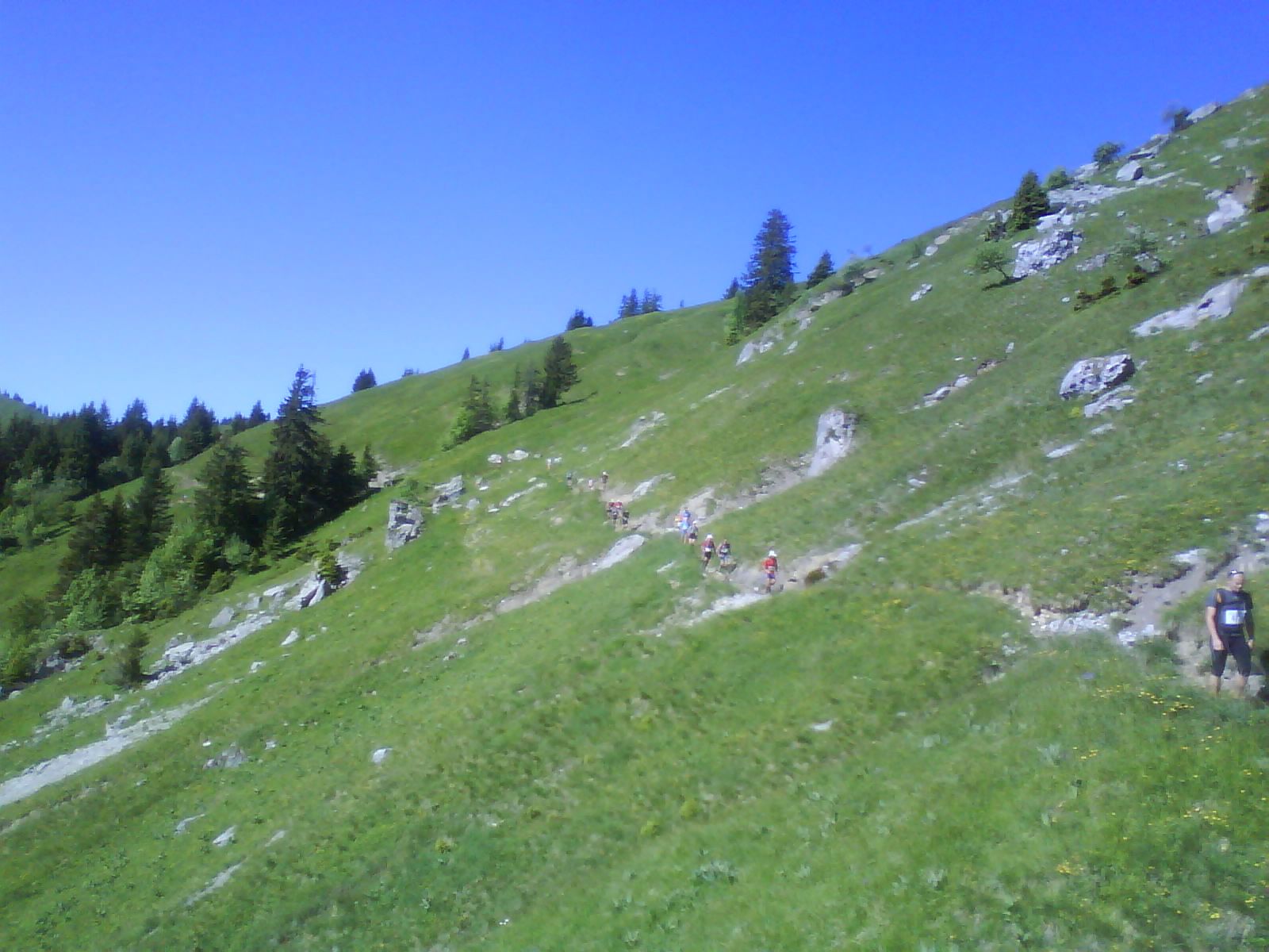 [DSC00502.JPG]