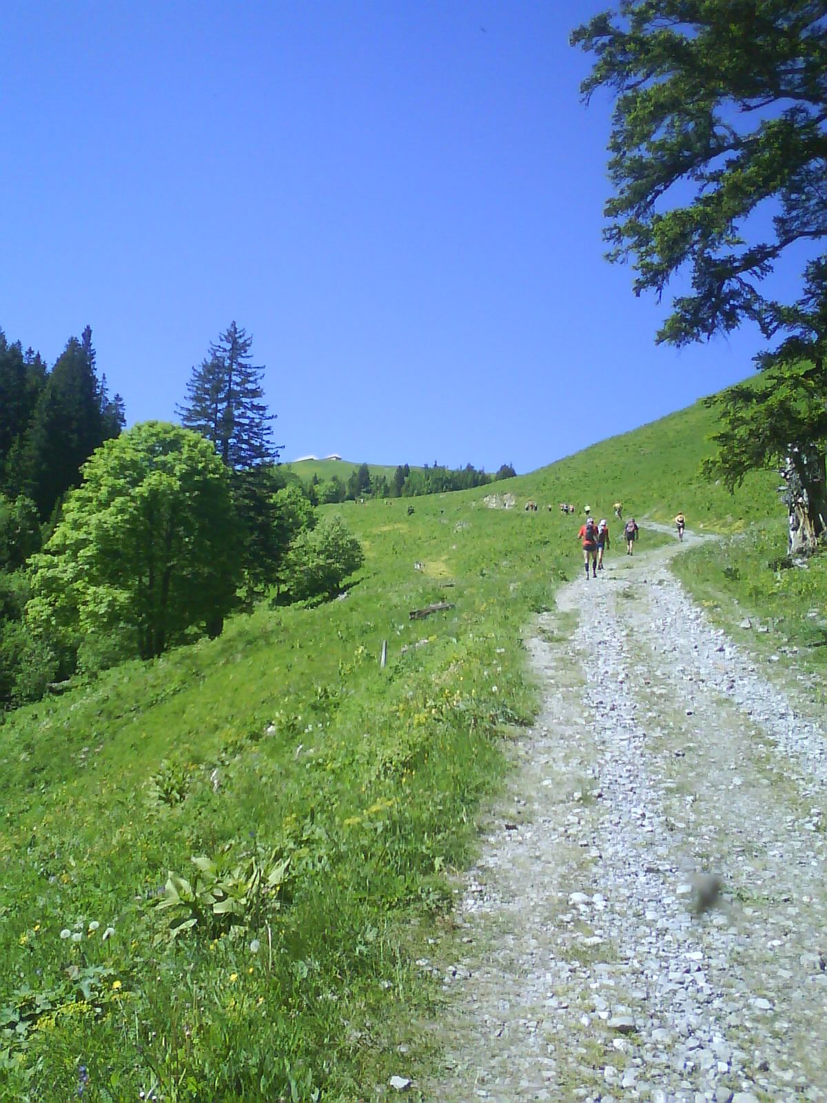 [DSC00538.JPG]