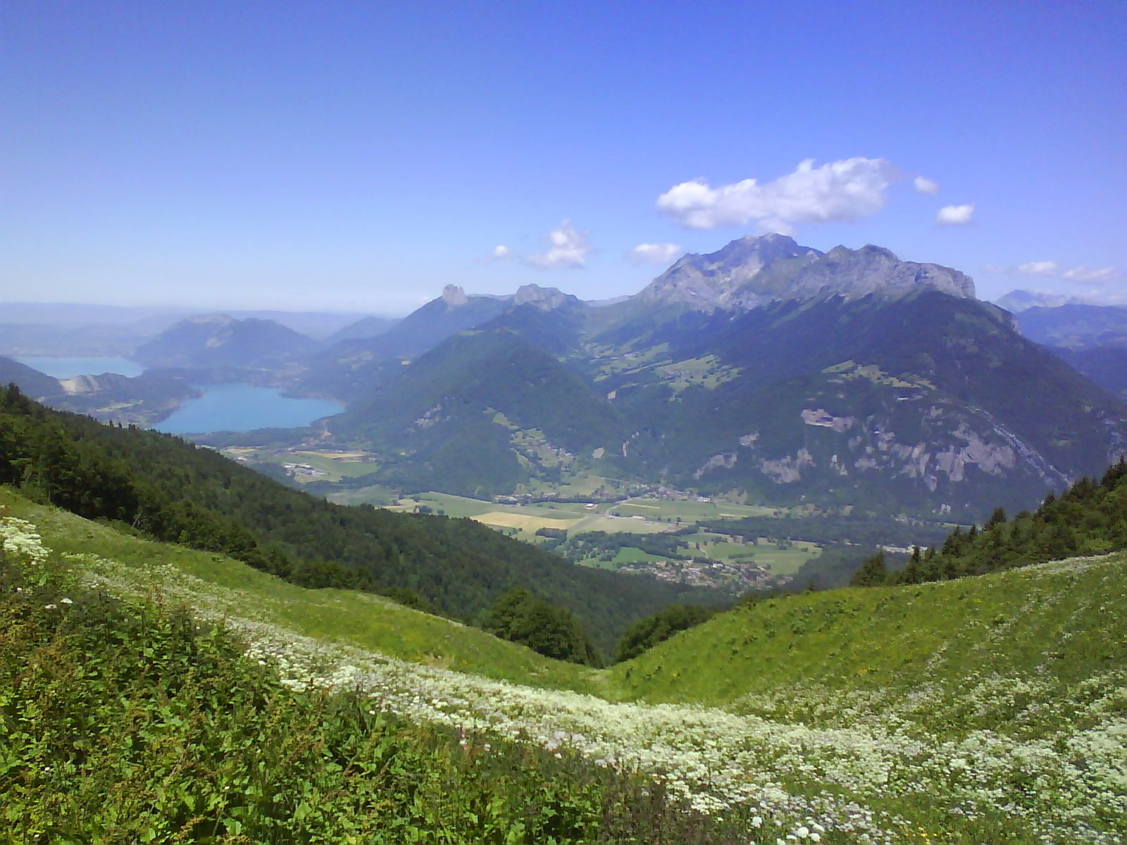 [DSC00595.JPG]