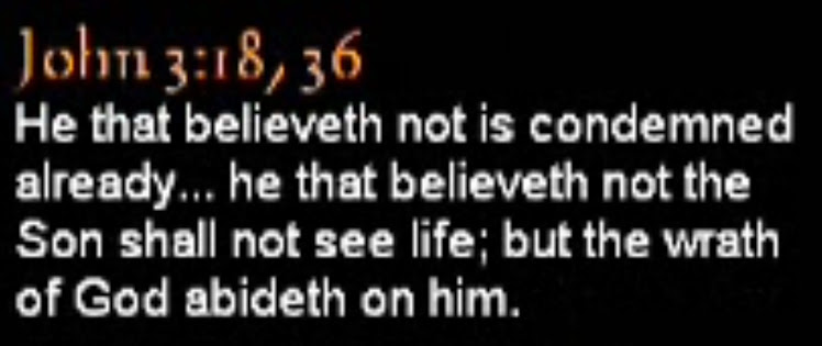 Christian Bible - 24