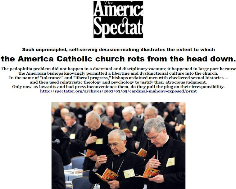 the America Catholic church rots from the head down.
