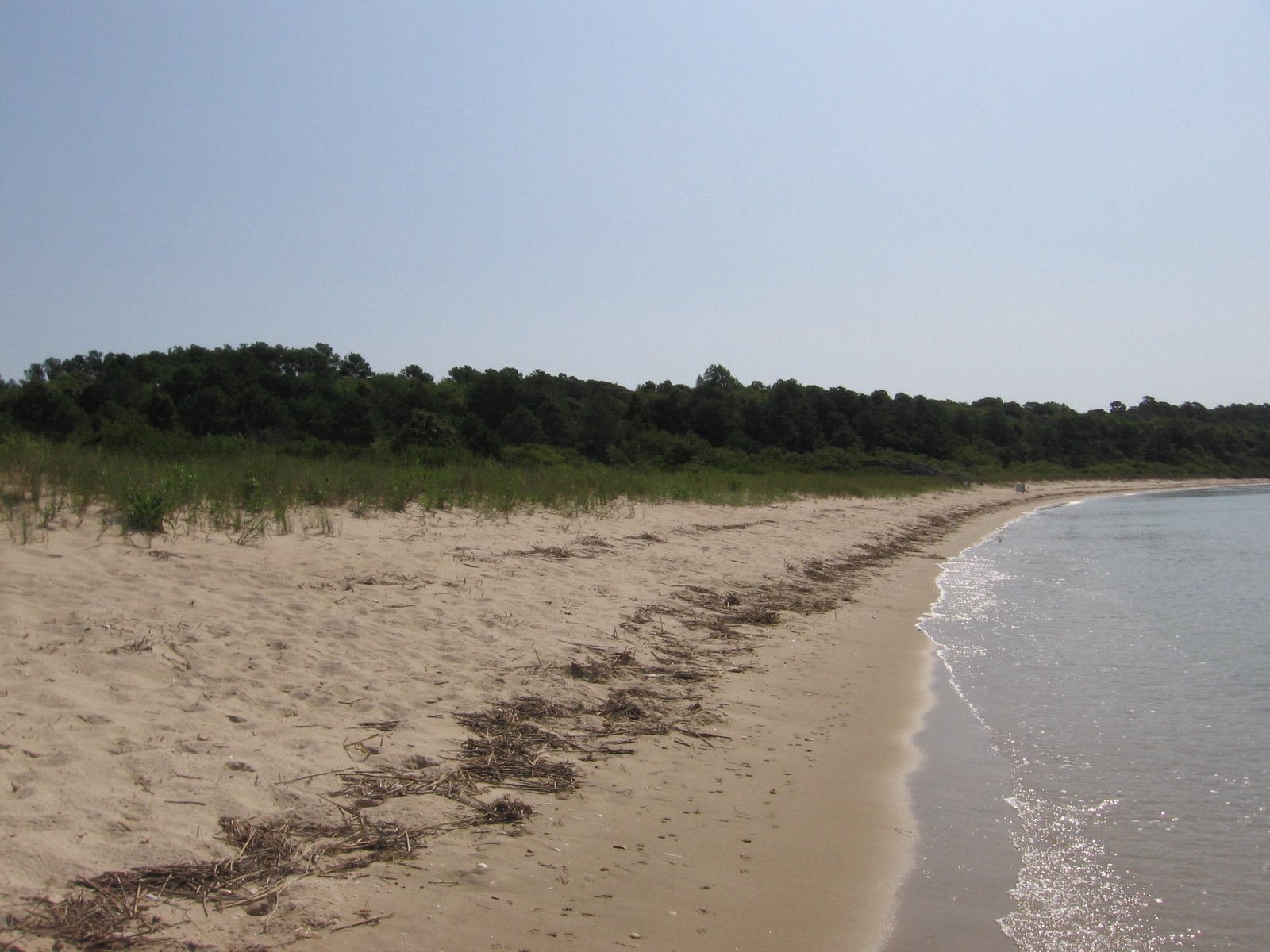 [IMG_0621.JPG]