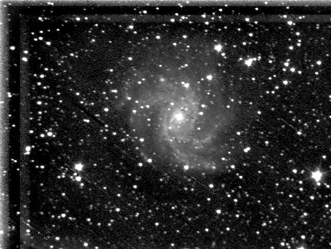[NGC6946-08092008-0001PIXproc.jpg]