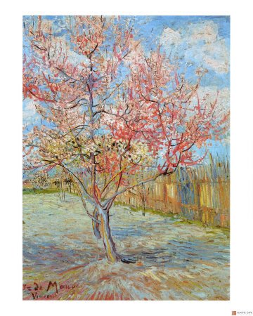 [VanGogh_PeachTreeinBloomatArles.jpg]
