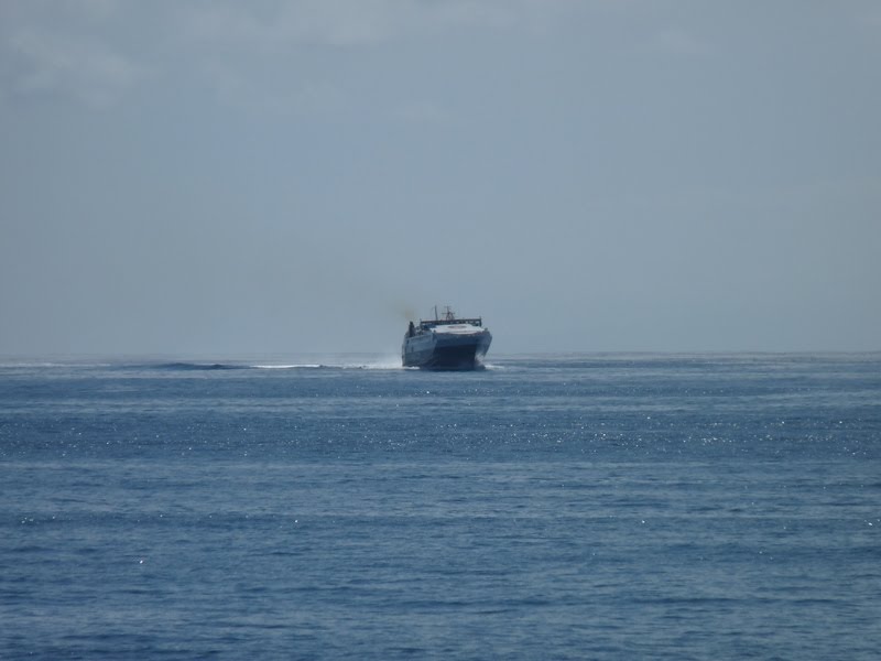 [P1000946.JPG]