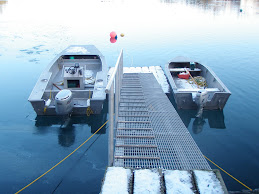 Large, medium skiff and dock