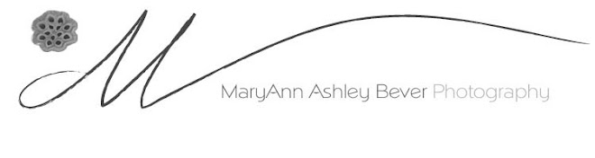 MaryAnn Ashley Bever Photography