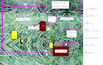 Green Horse Farm Layout