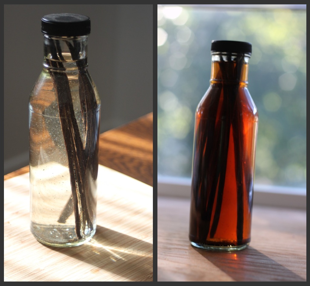 Good Clean Fun Homemade Vanilla Extract