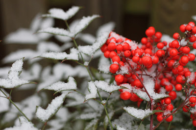 Good Clean Fun: Mint Chocolate Swirl Bark