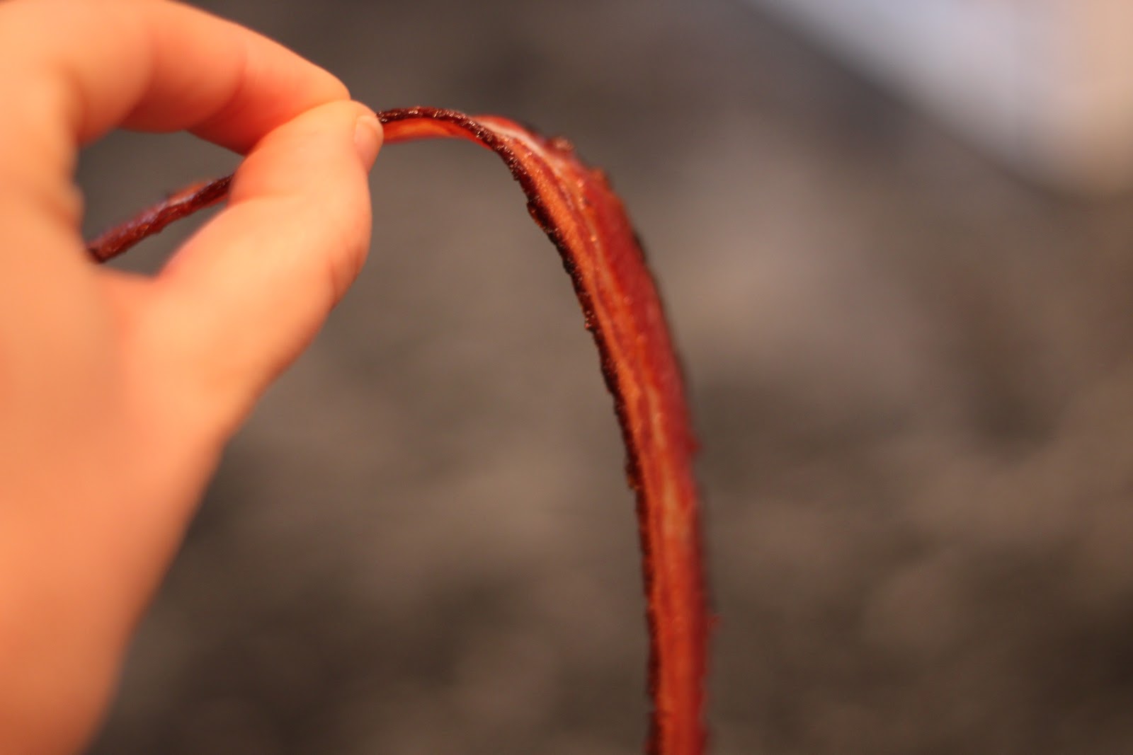 Good Clean Fun Dark Chocolate Drizzled Bacon