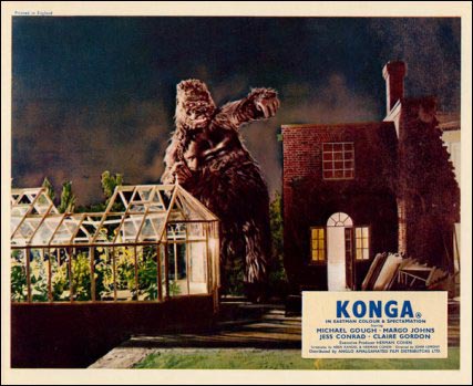 [konga+kong.jpg]