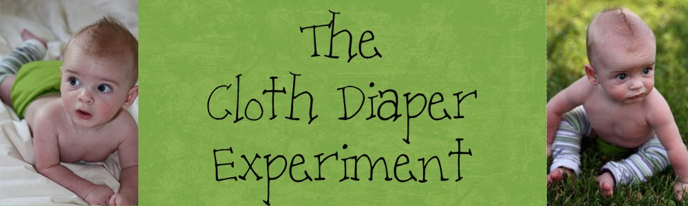 The Cloth Diaper Experiment