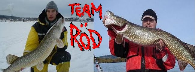 Team Röd