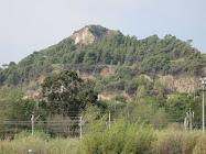 FOTO 2009