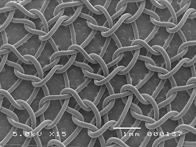Amazing Electron Microscope Images ~ Now That's Nifty