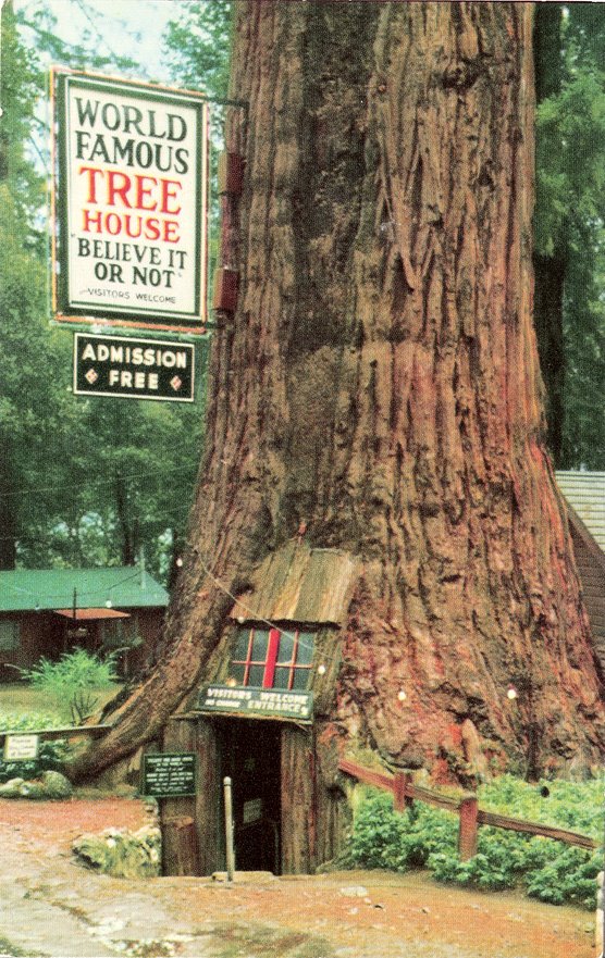 [World_Famous_Tree_House_PC.jpg]