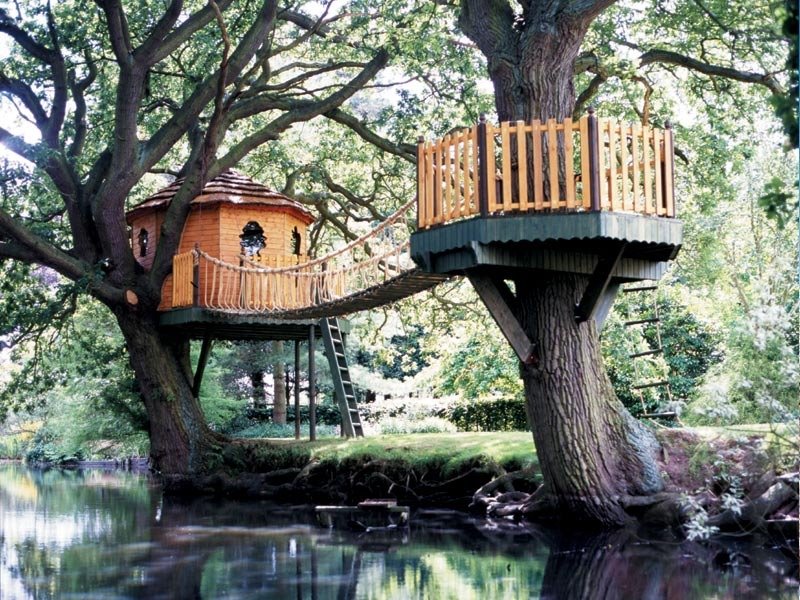 [cool-treehouse-7.jpg]