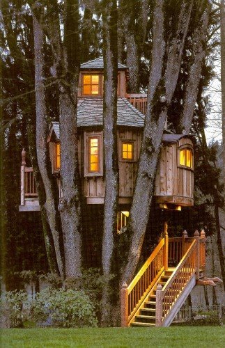 [cool-treehouse-23.jpg]