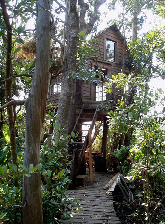 [treehouse.jpg]
