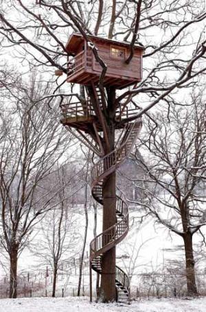 [treehouse_thfoin_75605t.jpg]