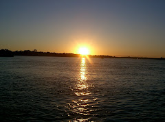 The Sun