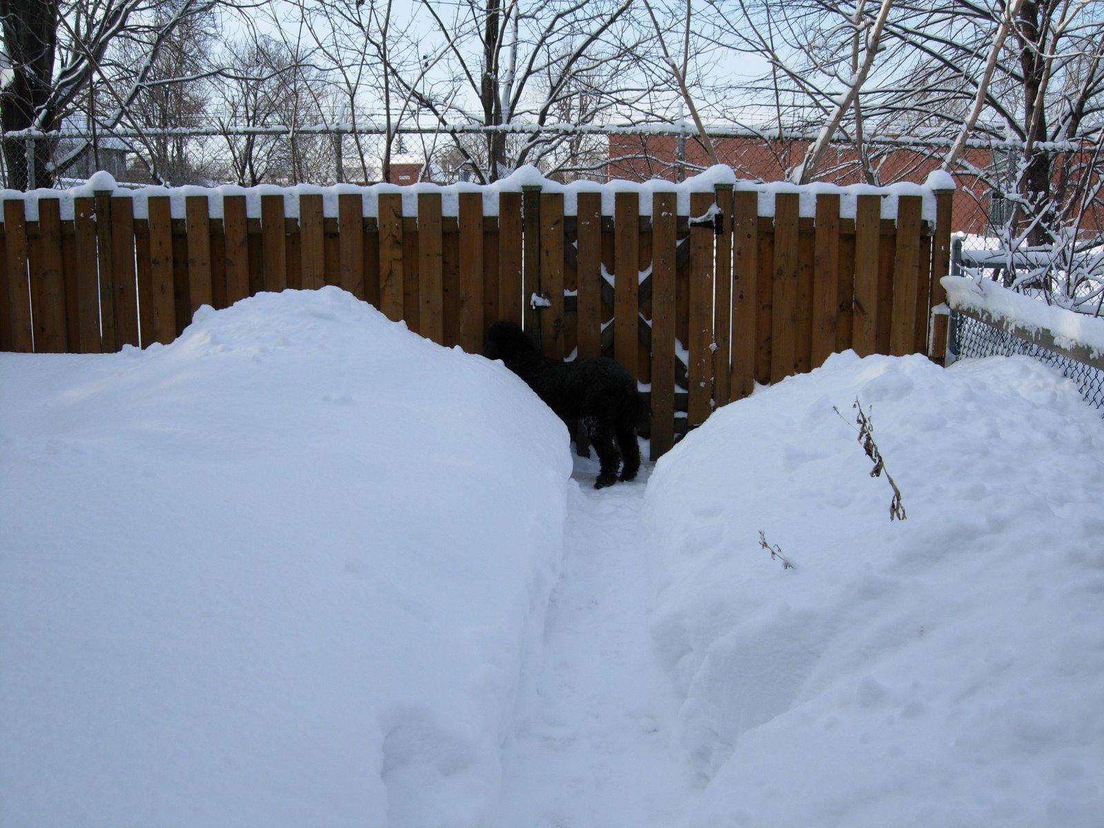 [Deep.snow.59.JPG]